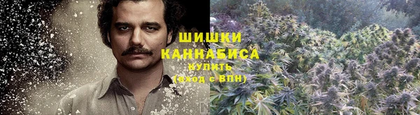 крисы Балабаново