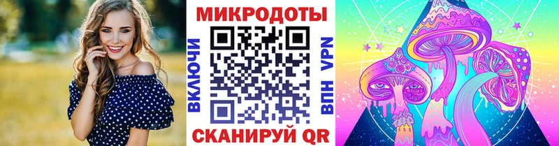 Псилоцибиновые грибы Cubensis  сайты даркнета телеграм  Куртамыш 